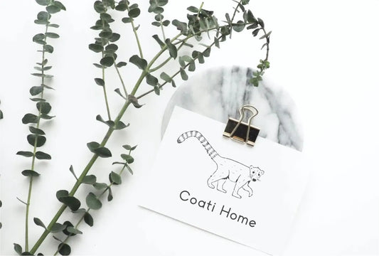 Bird's-eye view of a Coati Home gift card surrounded by eucalyptus leaves, highlighting its eco-friendly design and natural aesthetic.